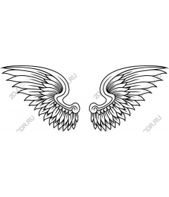 Intricate wing