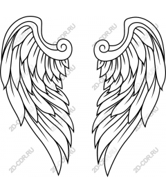 Intricate angel wings