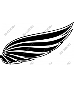  Black wing - the Freedom and movement