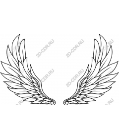  Elegant angel wings