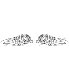 Elegant angel wings