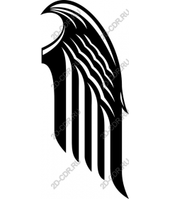  Elegant wing