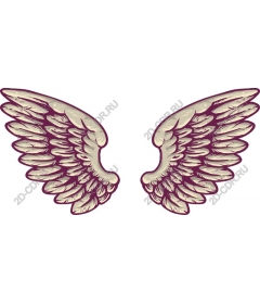  Elegant angel wings