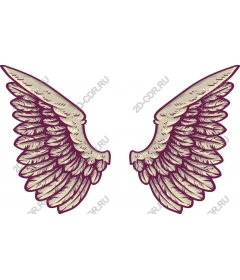 Intricate wing