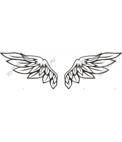  Elegant The Wings