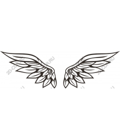 Elegant angel wings