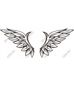 Intricate angel wings