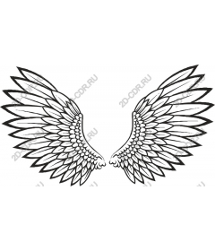  Elegant angel wings
