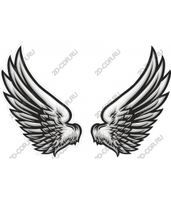Angel Wings