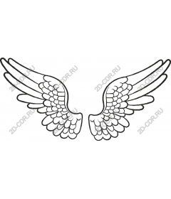  Elegant angel wings
