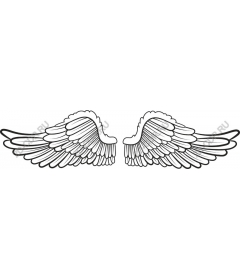  Ethereal angel wings