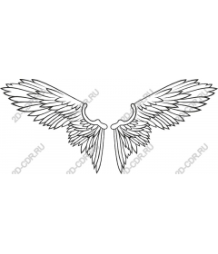  Elegant angel wings