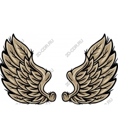  Elegant Winged