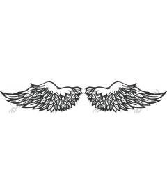  Feathered wings