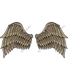  Elegant wing