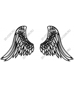  Elegant angel wings