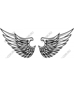  Elegant wing