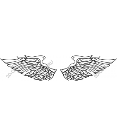  Elegant angel wings