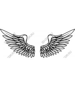 Angel Wings