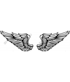  Elegant angel wings