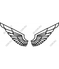  Elegant The Wings
