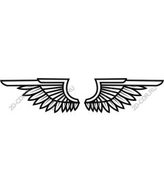  Elegant angel wings