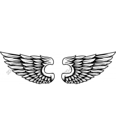  Elegant wing