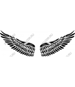  Black Wing