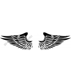  Elegant Wings