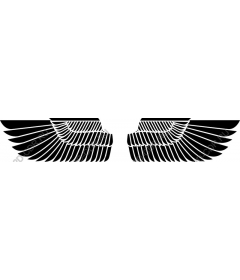  Elegant Winged