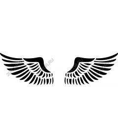  Elegant angel wings