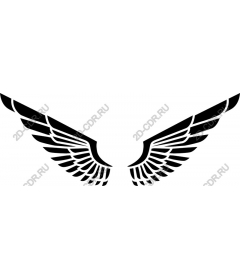  Elegant wing