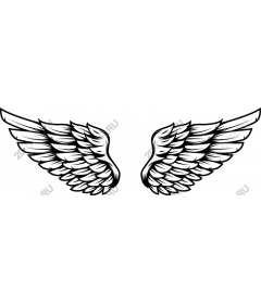 Angel Wings