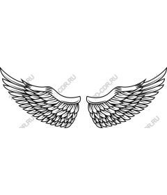 Intricate angel wings