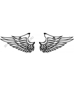  Artistic wing