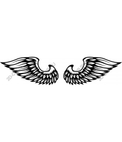  Elegant angel wings