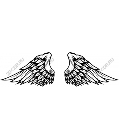  Elegant angel wings