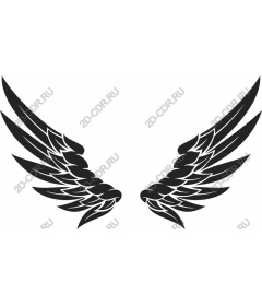  Elegant The Wings
