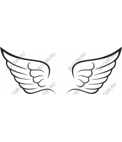  Elegant wing