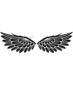  Elegant wing