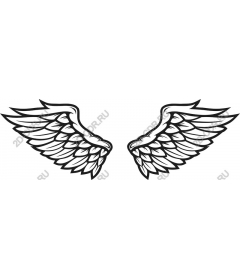  Elegant angel wings