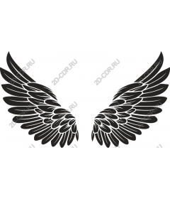  Black feathered wings