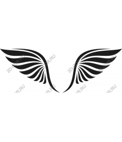 Black Wings