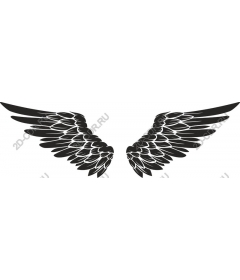  Black Wings