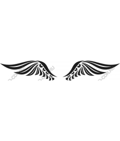  Elegant wing