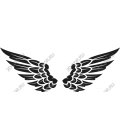  Elegant black wings