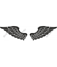  Elegant wing