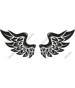  Elegant wing