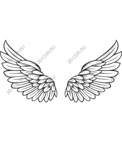  Elegant angel wings