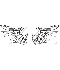 Majestic wing